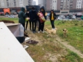 Sosyal medyada organize olan gençler, sokak hayvanlarına mama ve yem bıraktı Fotoğrafı