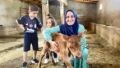 Devletin Üreticiye “Gebe Angus” Sürprizi: Sıfırdan Başlayan Hayvancılık Hikâyesi Fotoğrafı